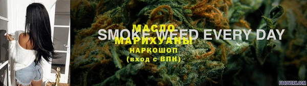 винт Пересвет