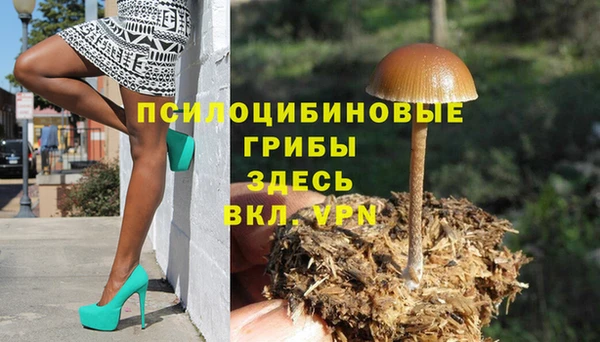 прущая мука Кемь