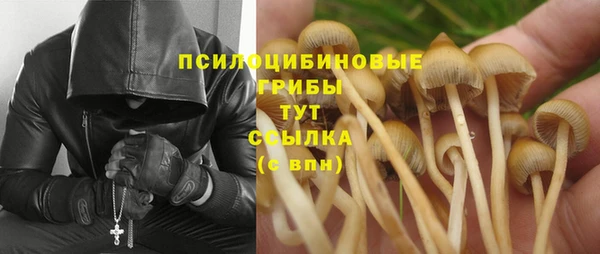 экстази Переславль-Залесский