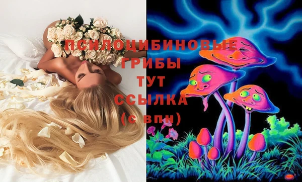 винт Пересвет