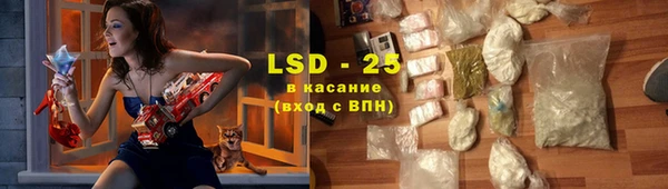 винт Пересвет