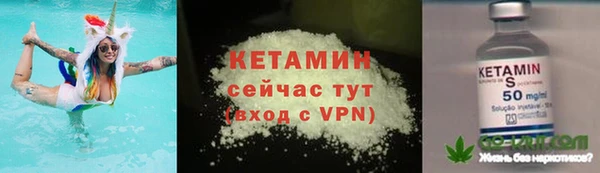 винт Пересвет