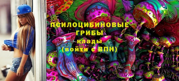 экстази Переславль-Залесский